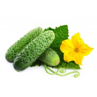 Огірок, Турція, кг