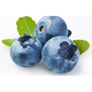 Лохина, Україна, 125г