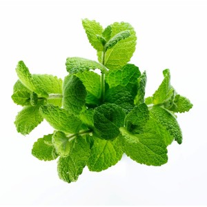 М'ята, пучок 50г